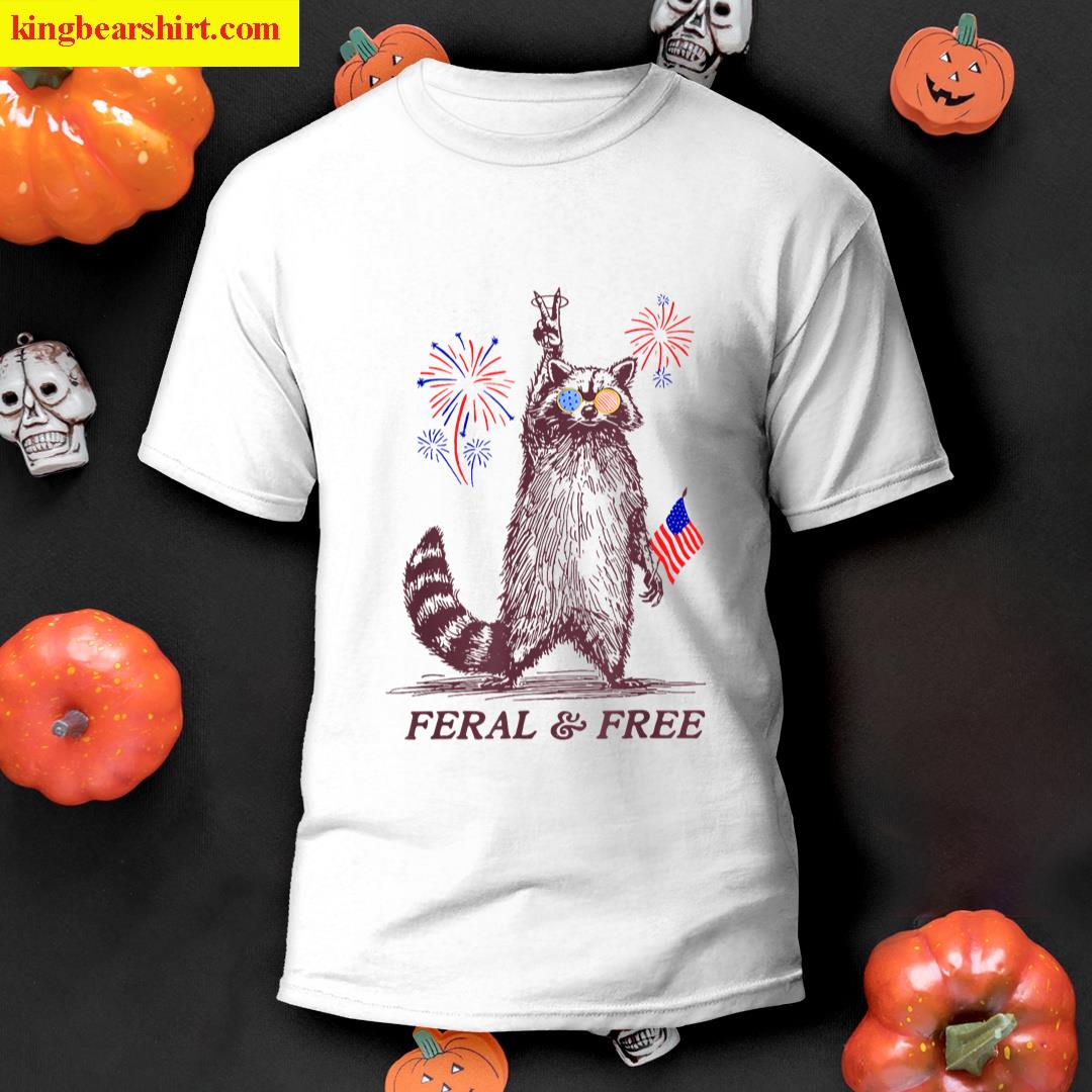 4th July Celebration T-shirt